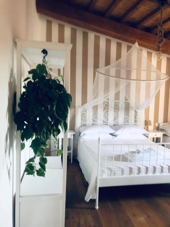Ischia di Castro Ab B&B المظهر الخارجي الصورة